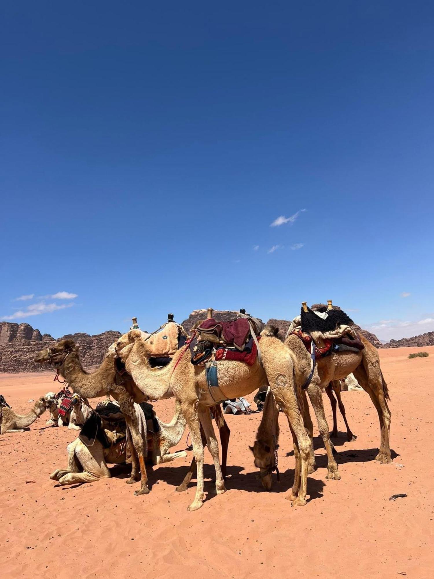 Landscape Rum Camp Hotel Wadi Rum Exterior photo